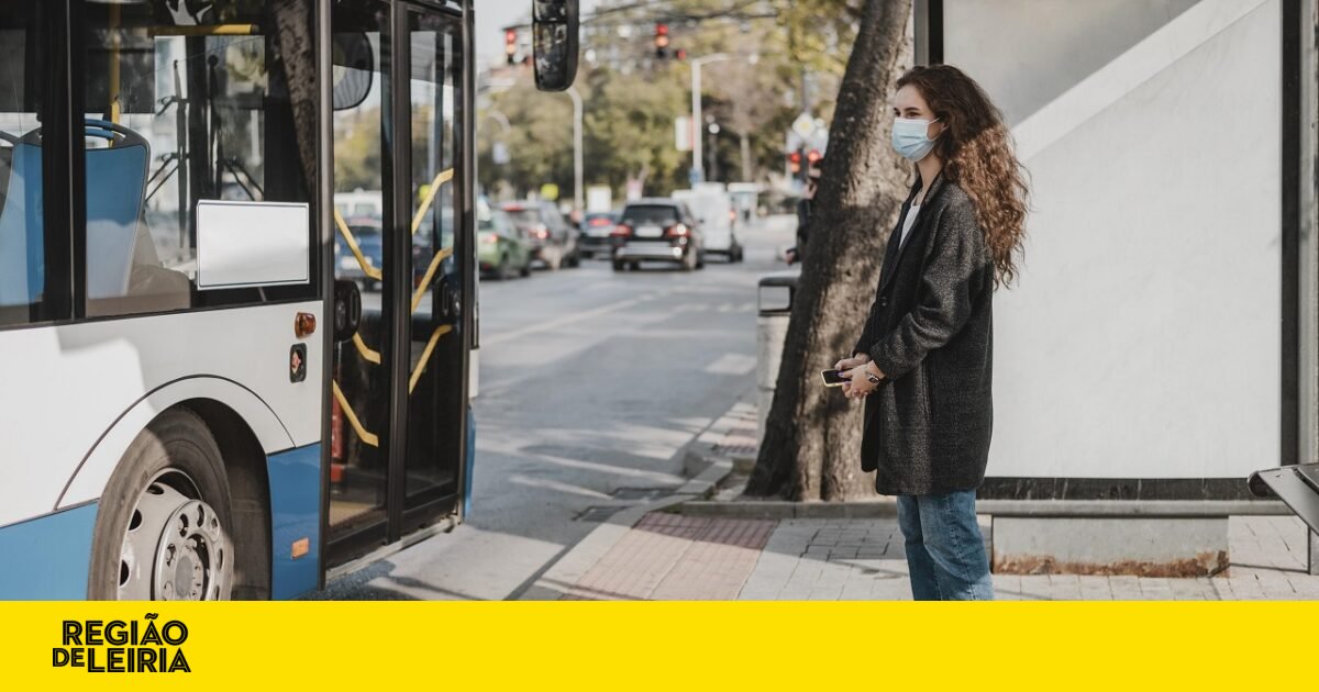 Concurso de 25 milhões de euros para concessionar transporte de