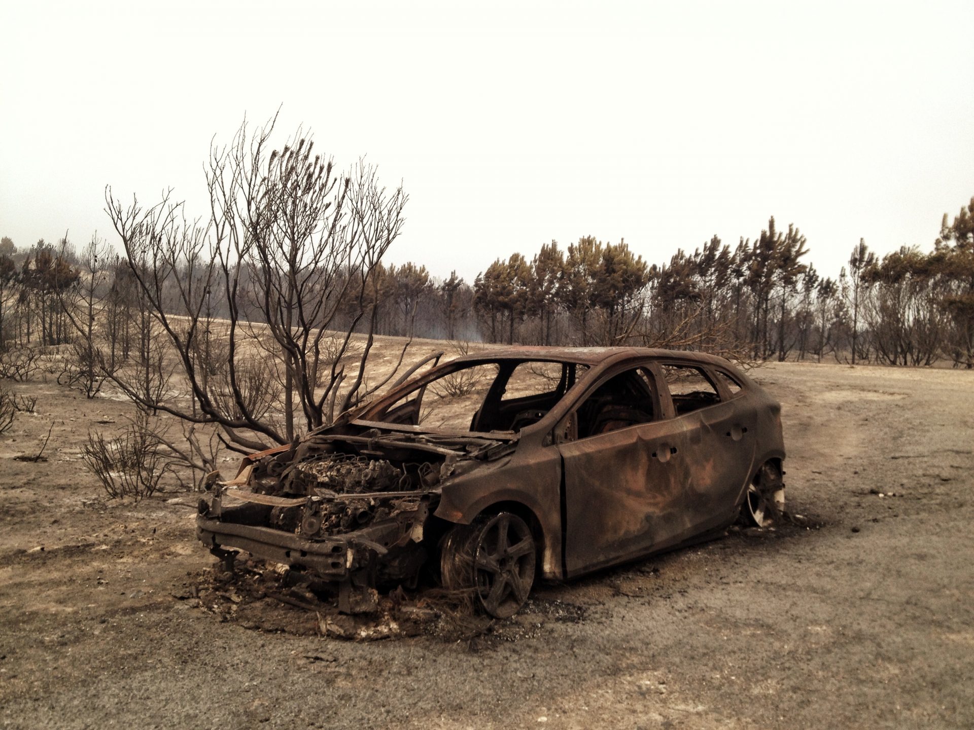 Um automóvel carbonizado encontra-se num terreno queimado, rodeado de árvores e arbustos chamuscados. Não há pessoas visíveis.