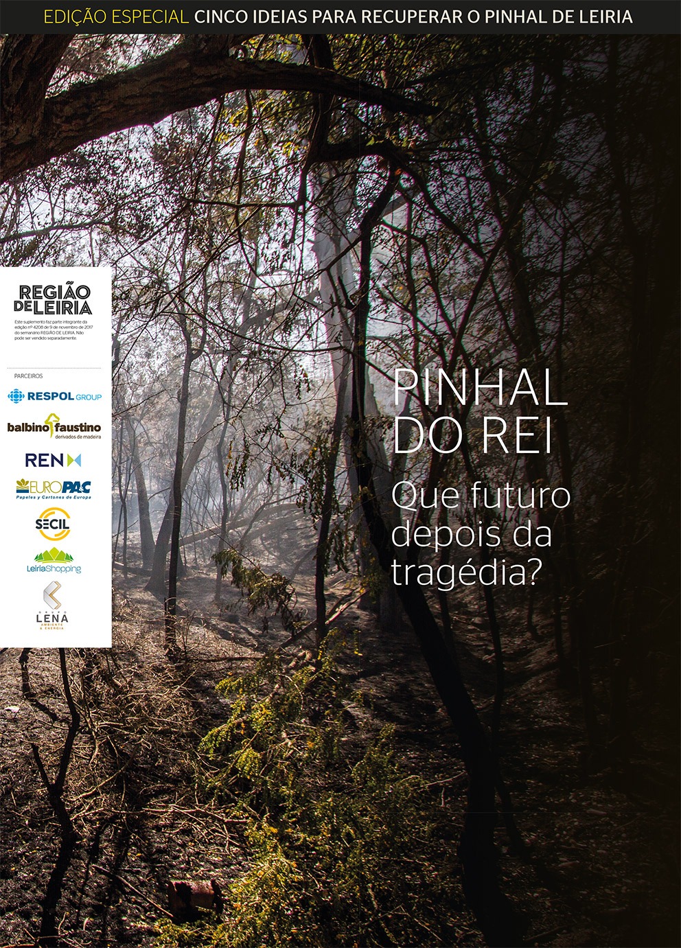 Suplemento Pinhal do Rei - fogos de 9 novembro 2017 + Edição 4208