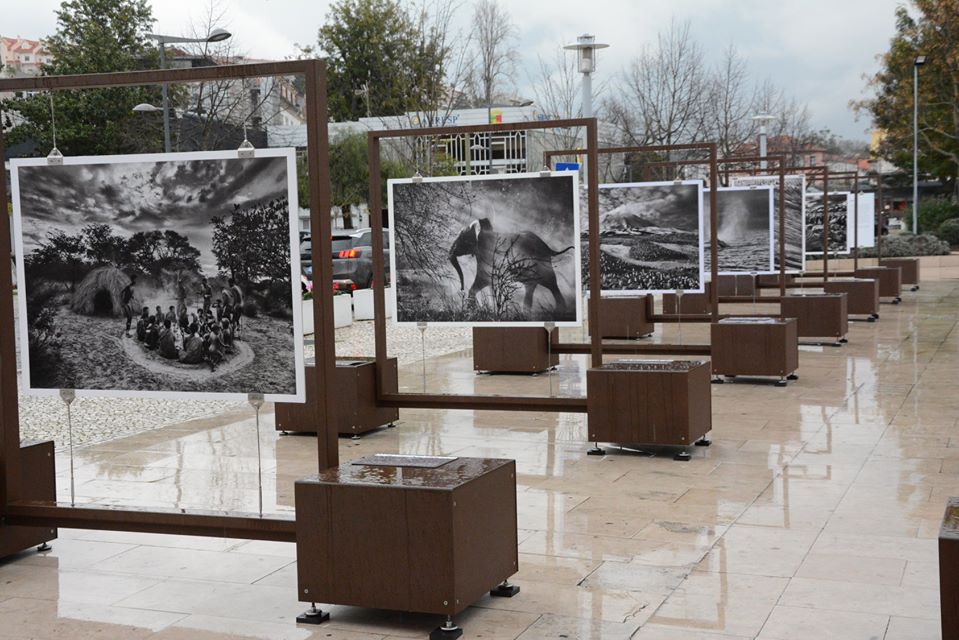 Exposição Génesis