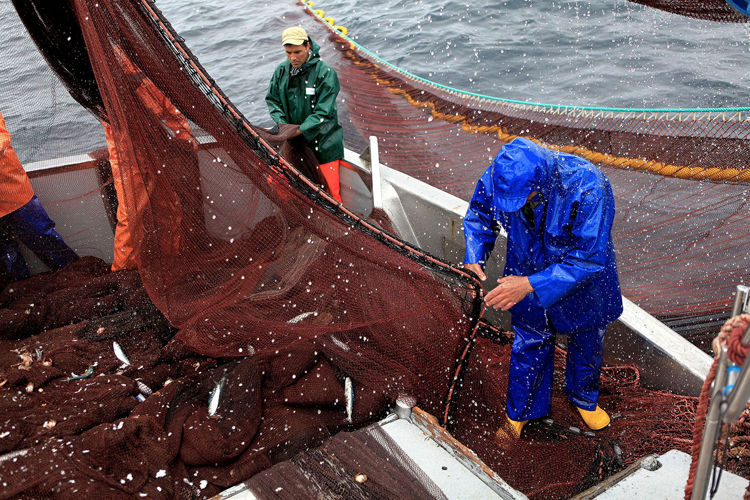 imagem de dois pescadores a trabalhar numa embarcação da pesca de cerco