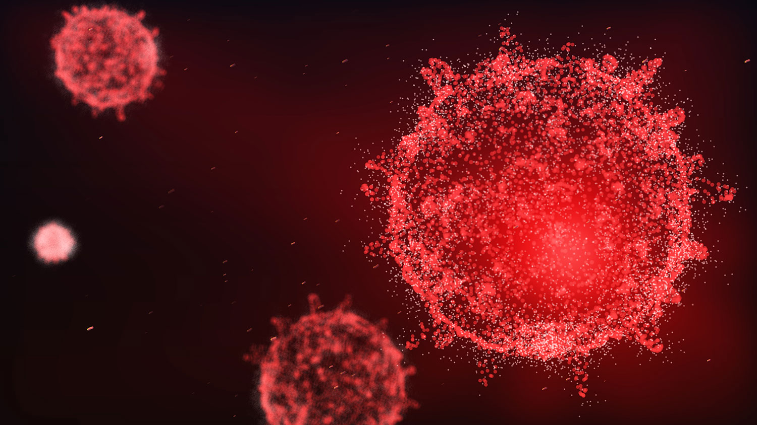 imagem microscópica do novo coronavírus