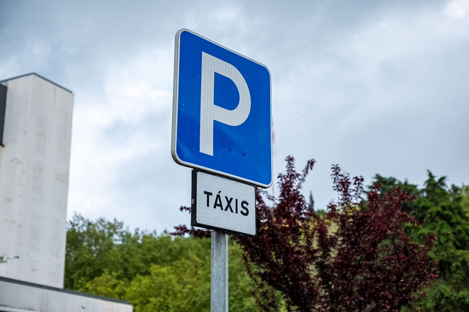 Um sinal azul de estacionamento, com a letra P, está sobre uma placa com a indicação «TÁXIS». Ao fundo veem-se árvores, um edifício e céu nublado.