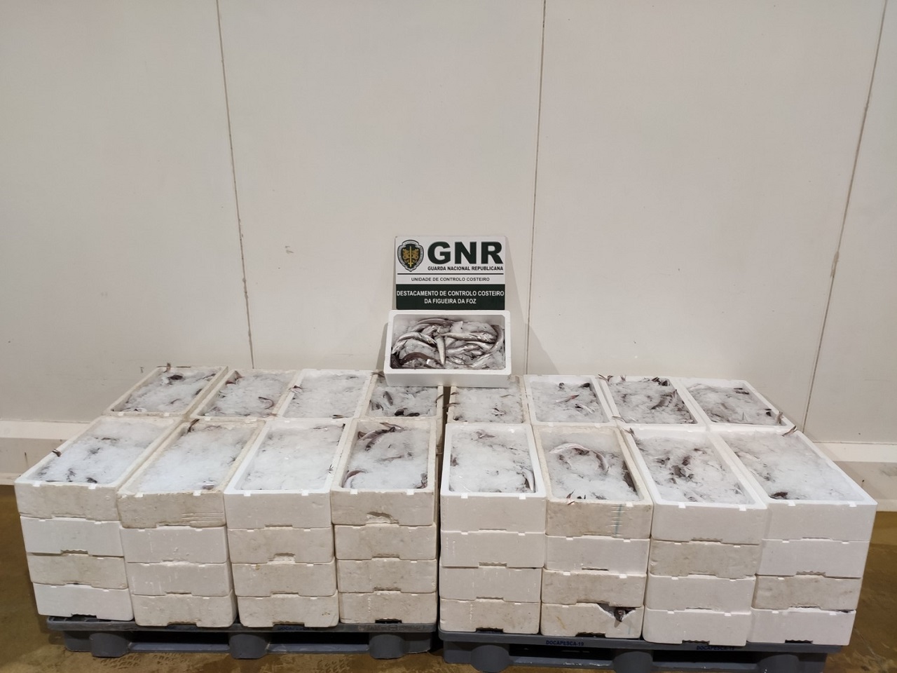 Pescado apreendido na Marinha Grande