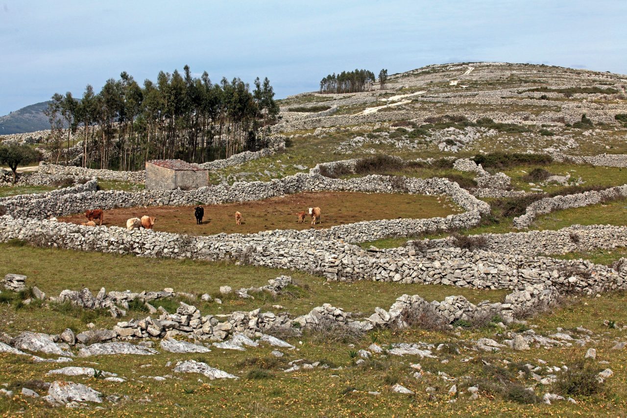 Muros de pedra seca, em Porto de Mós.