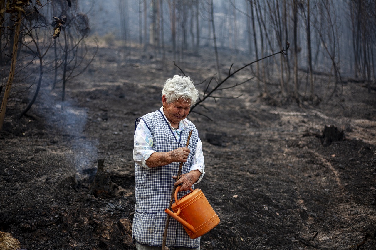 Incêndio pedrógão grande