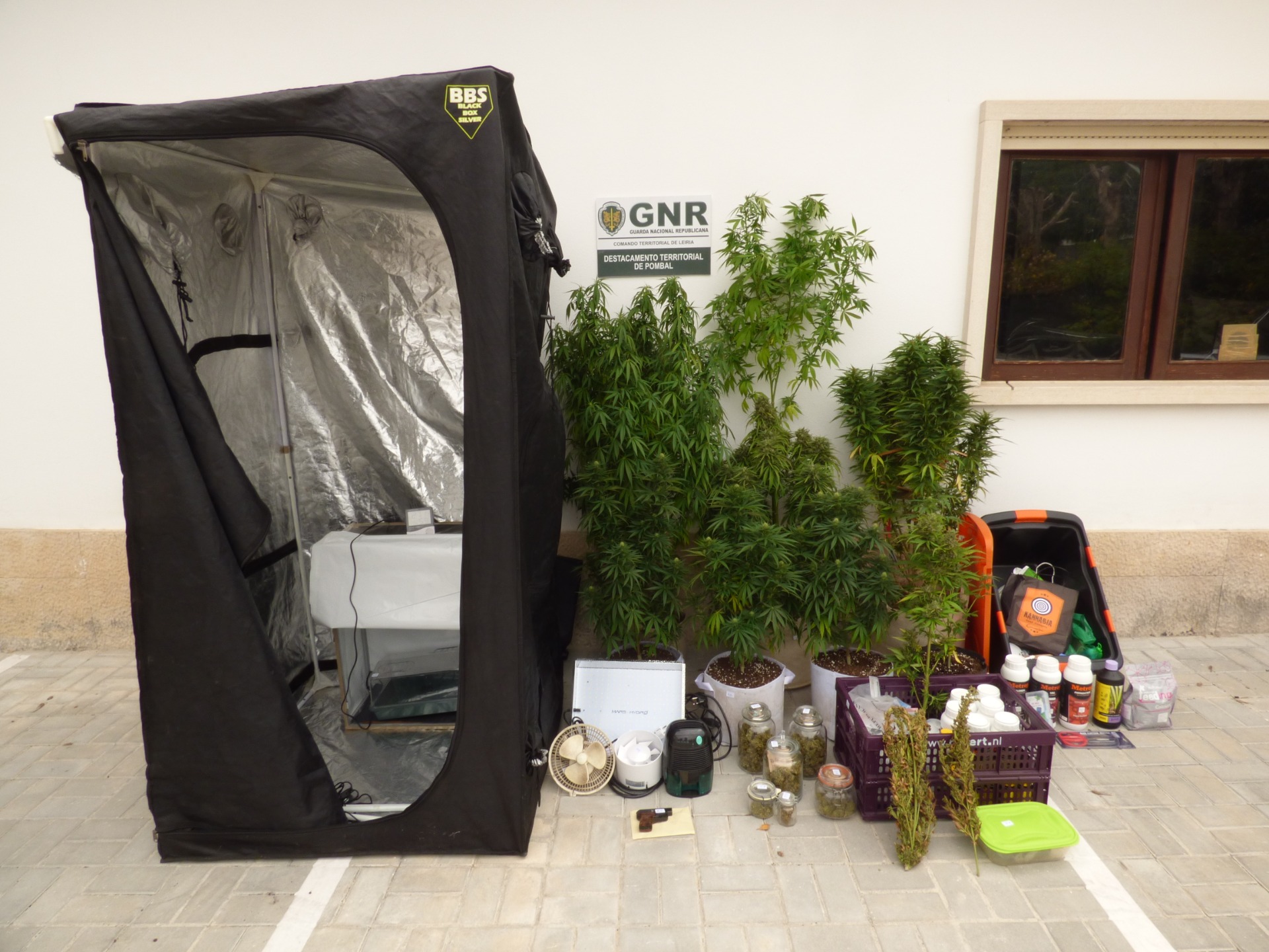 material apreendido pela gnr relacionado com o cultivo de cannabis