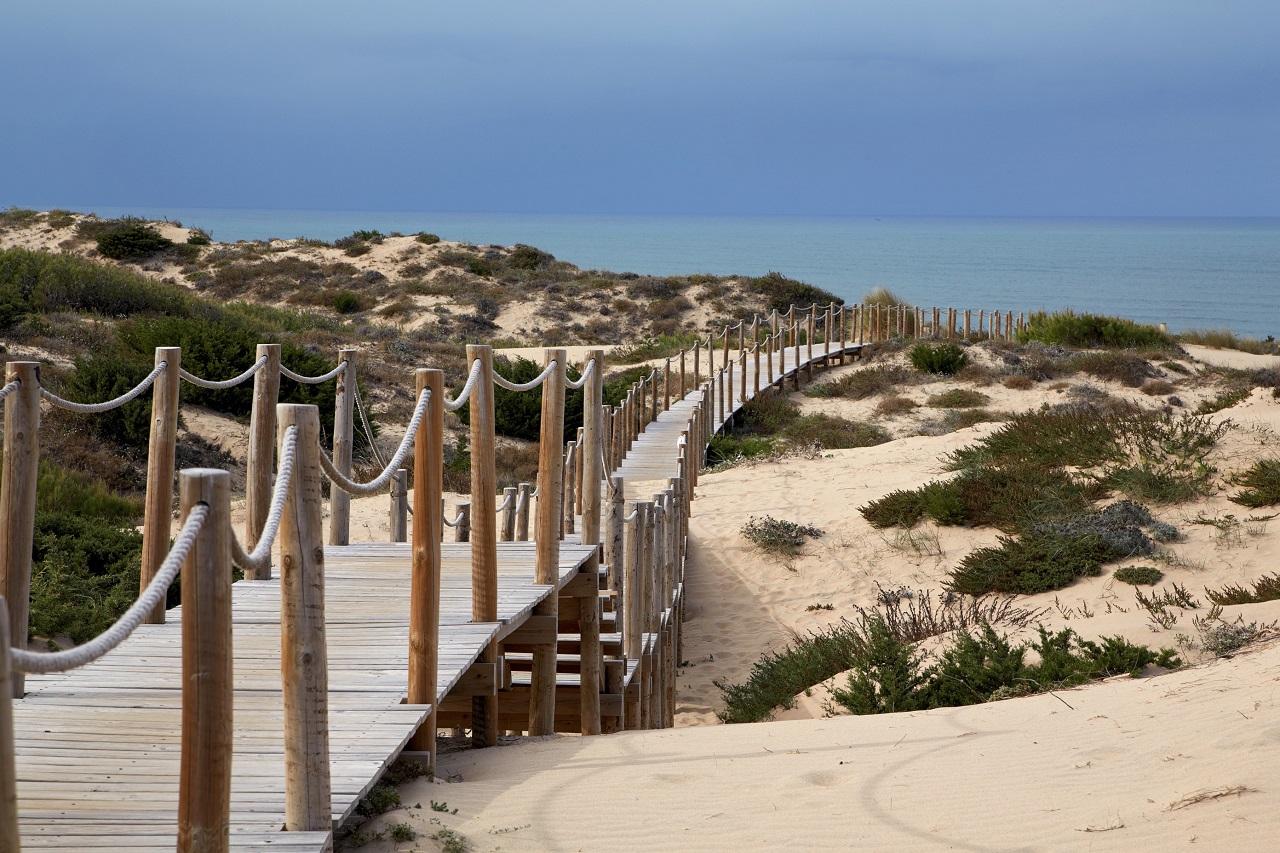 passadiços numa praia de peniche