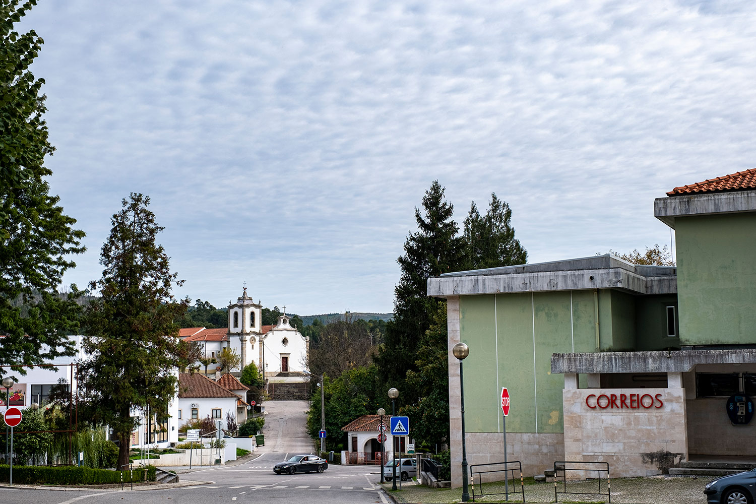 imagem de castanheira de pera