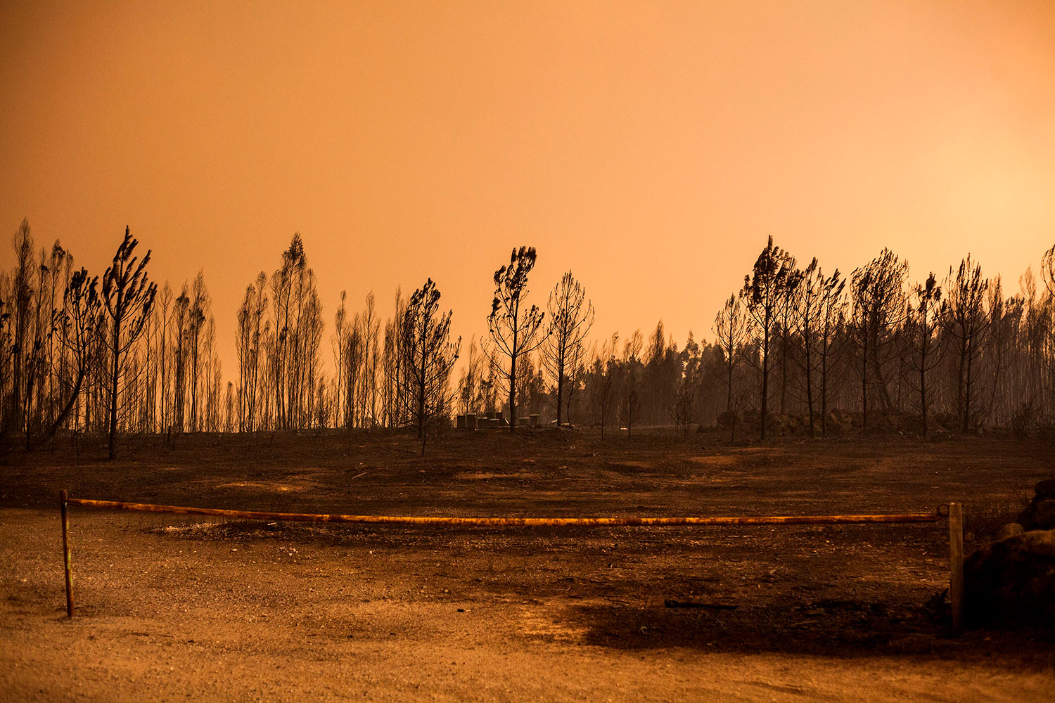 imagem de paisagem ardida