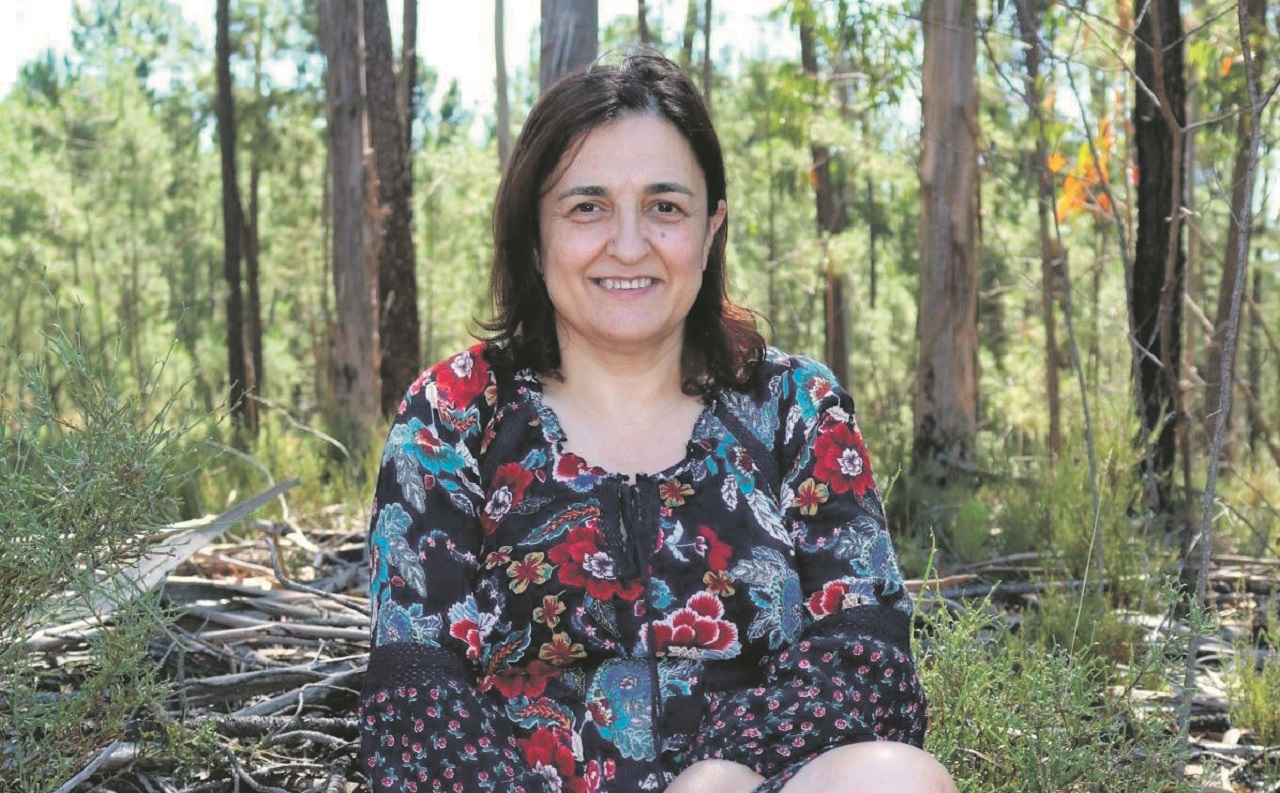 Ana Cristina Ribeiro