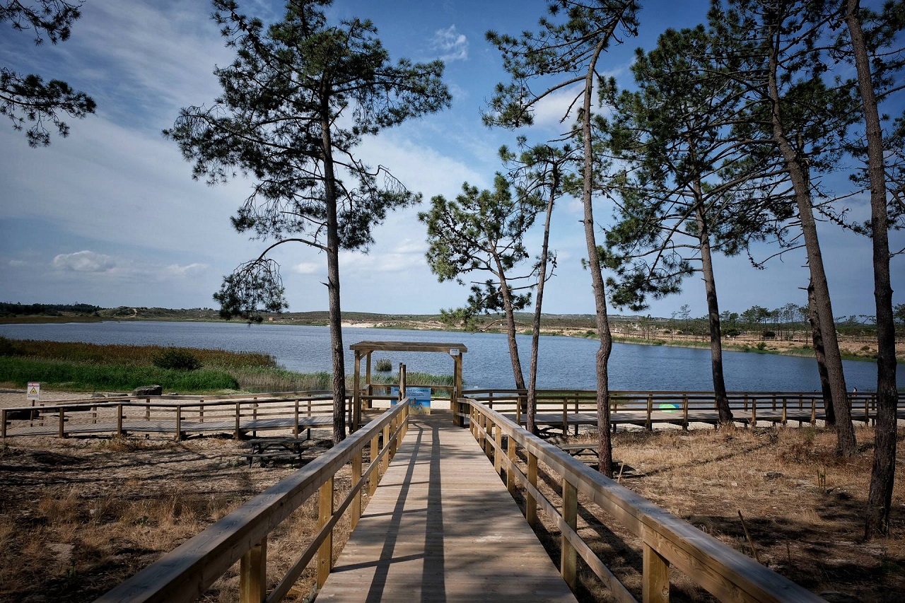imagem de passadiços de madeira na lagoa da ervedeira