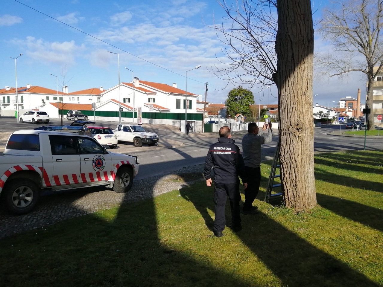 foto de funcionários da Câmara da Marinha Grande a instalar armadilhas na cidade