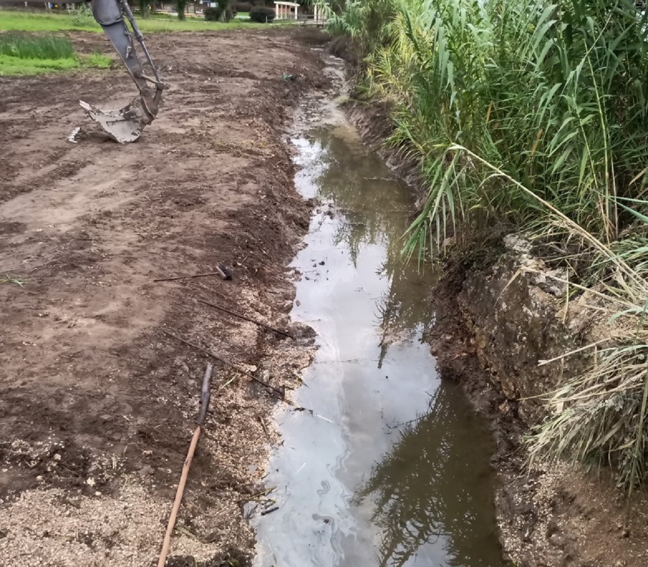 foto de ribeira contaminada com nafta