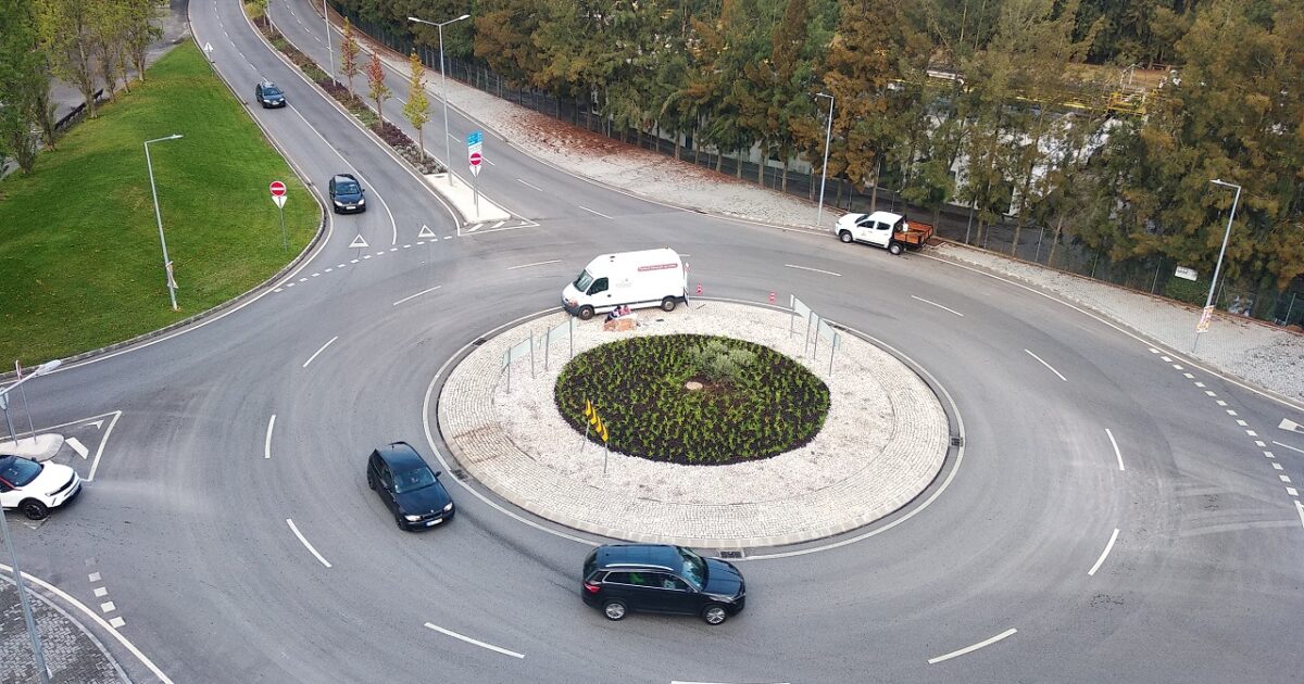 Leiria planta "Oliveira SNS" em homenagem ao fundador do Serviço Nacional de Saúde – Região de Leiria - Vimarsana News