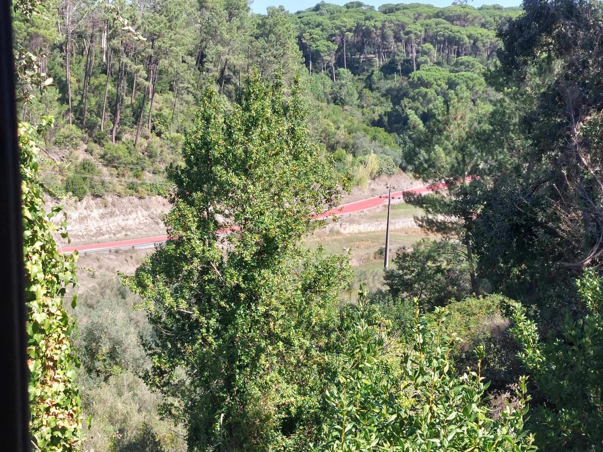 Vista de uma encosta densamente arborizada, atravessada por uma estrada sinuosa de piso avermelhado. Não se veem pessoas nem indicações que permitam identificar o local.