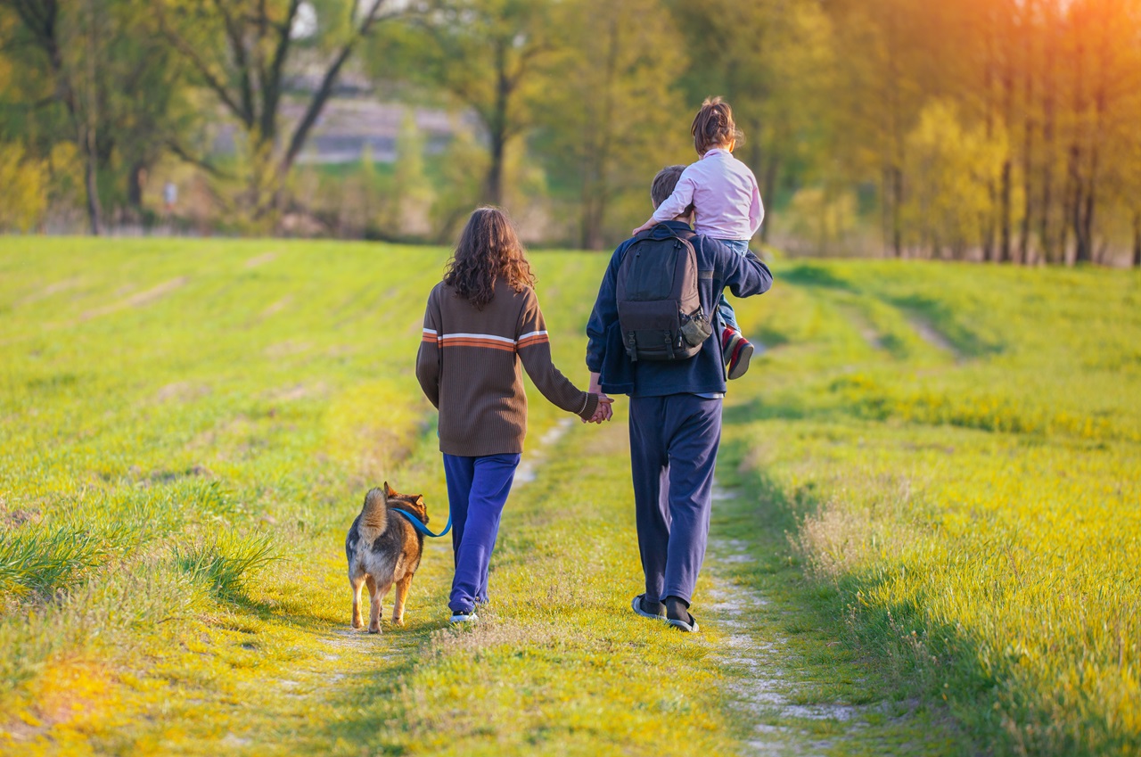 Casal com uma criança ao colo e um cão passeio no campo em direção a um bosque