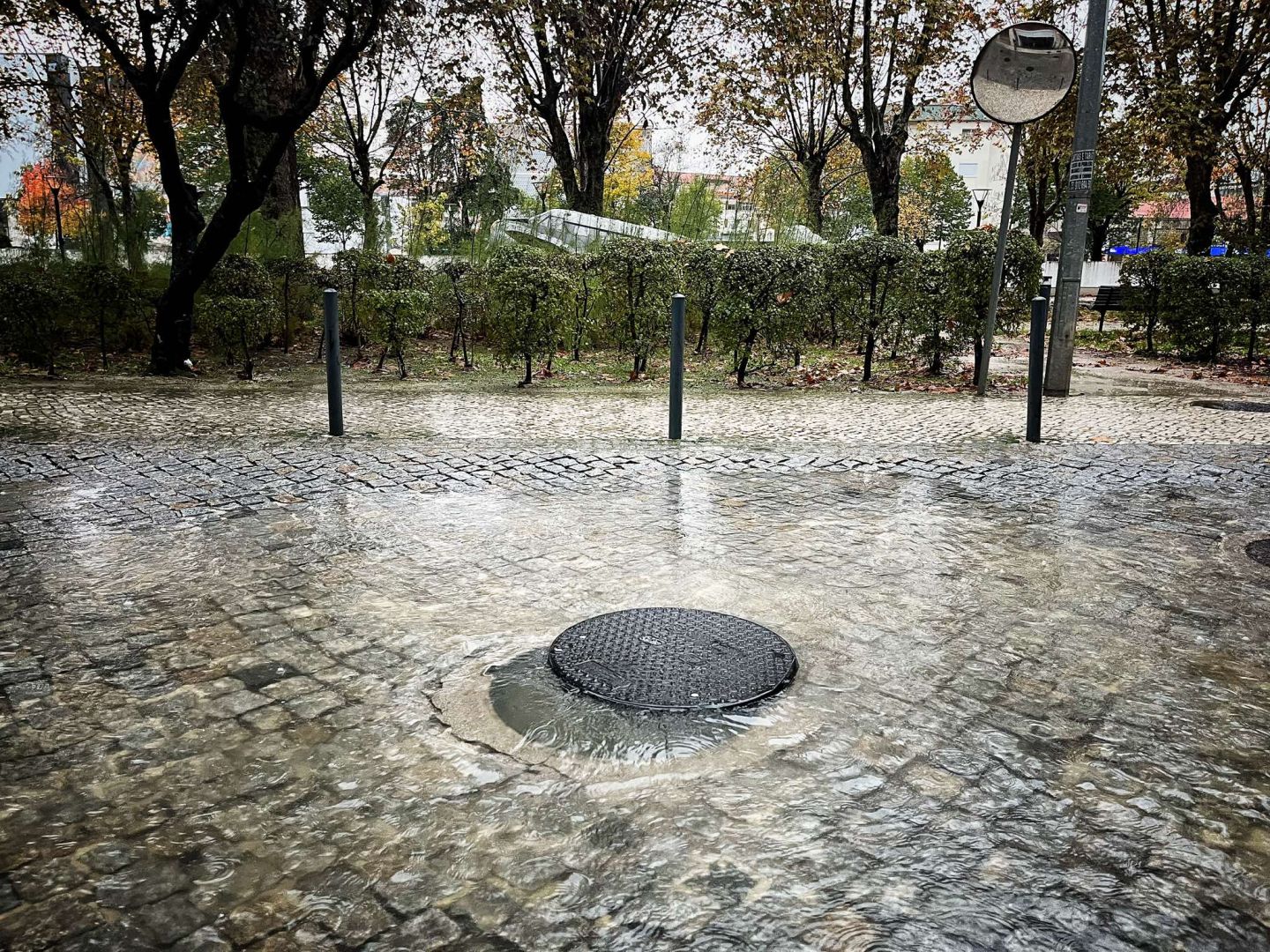 Mau tempo: 60 ocorrências na região de Leiria desde as 6 horas