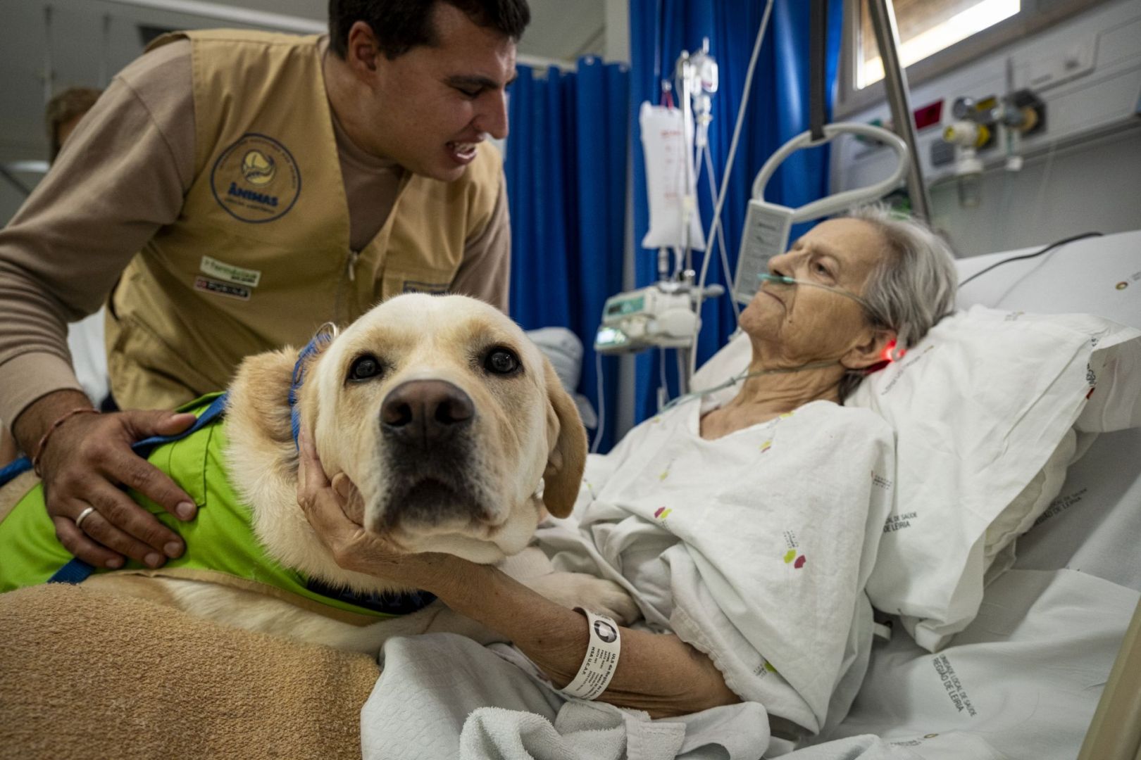 No hospital de Leiria, parte da cura tem quatro patas e responde por Herói
