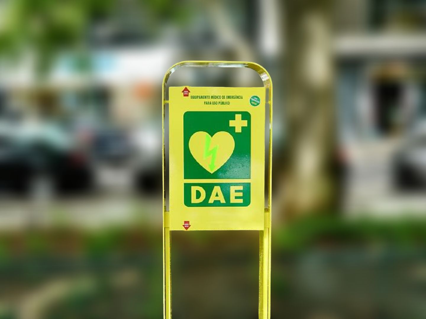 Desfibrilhadores, arranjo de rotunda e melhorias em escolas vencem orçamento participativo de Leiria