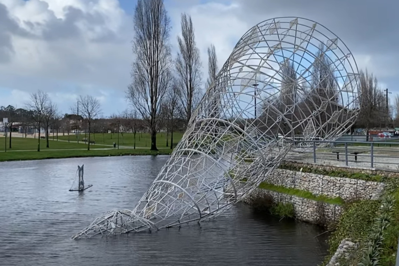 Vento derruba duas árvores de Natal no concelho da Marinha Grande