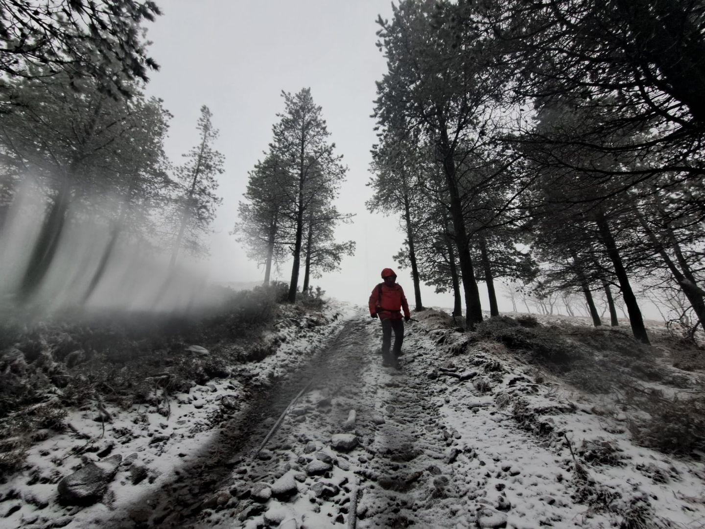 Acumulação de neve em Castanheira de Pera obriga a corte de trânsito