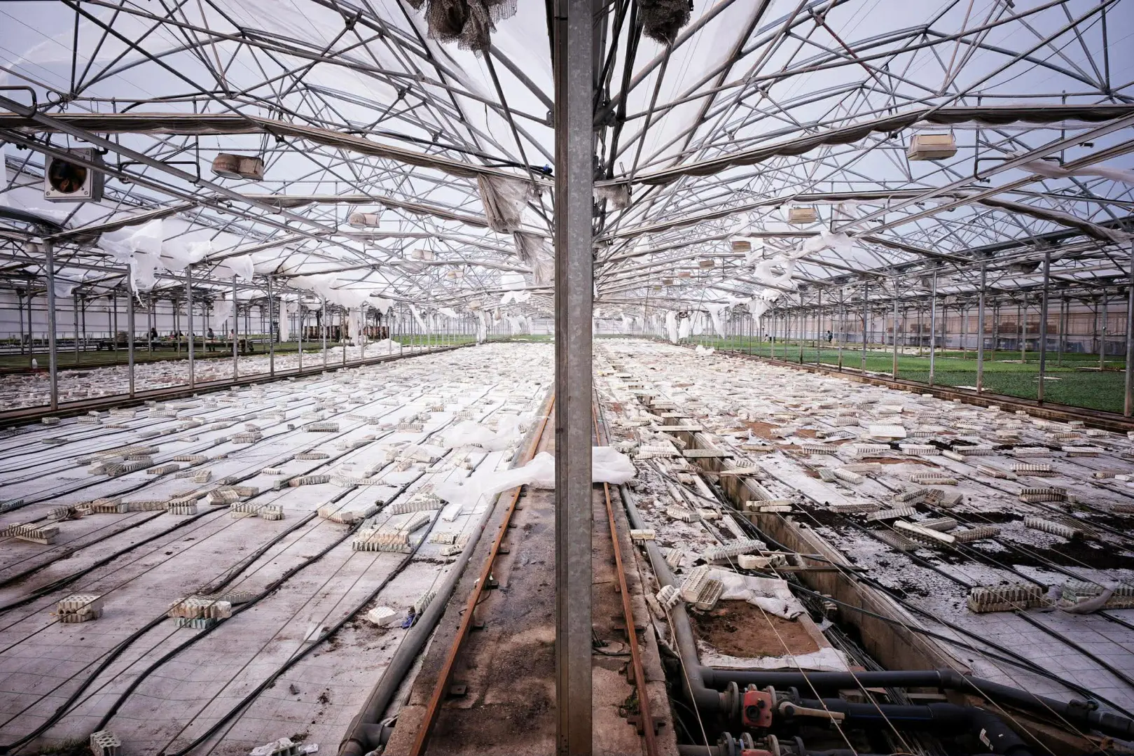 Leiria lança plataforma Estragos.pt para cidadãos reportarem danos