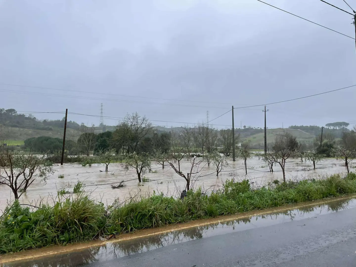 Mau tempo: 39 ocorrências registadas na região de Leiria desde a meia-noite