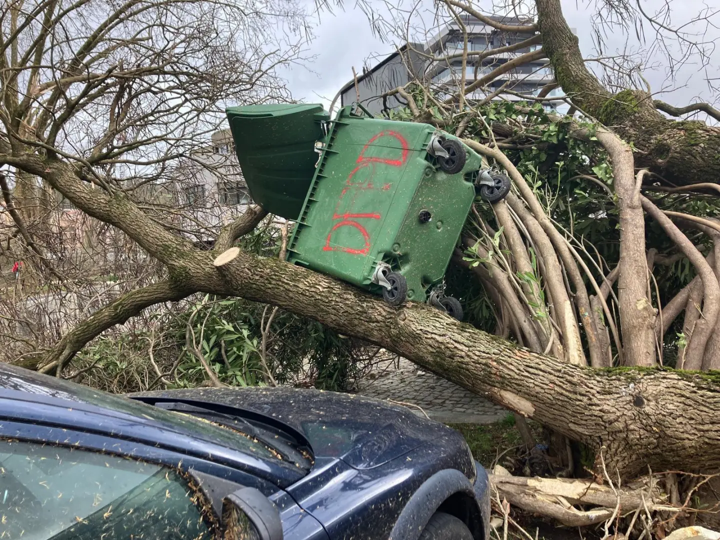 Jornais criam cadeia de partilha de informação sobre ajuda à população vítima da tempestade