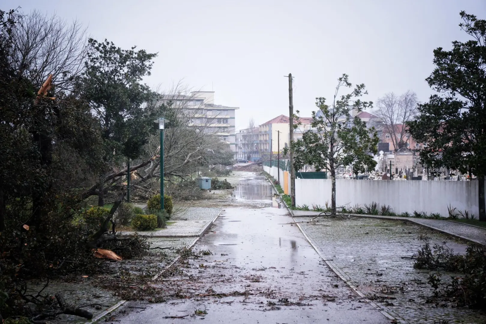 Energia elétrica restabelecida em cerca de 50% do concelho da Marinha Grande