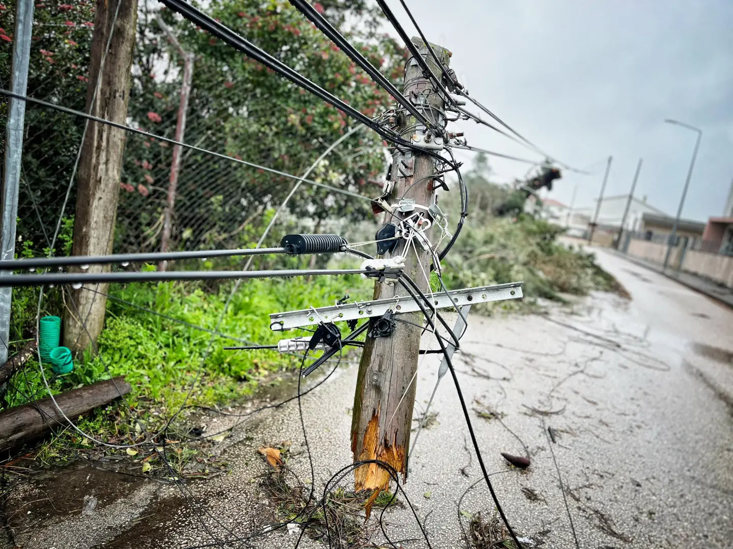 Região de Leiria “precisa urgentemente de apoio que ainda não chegou”