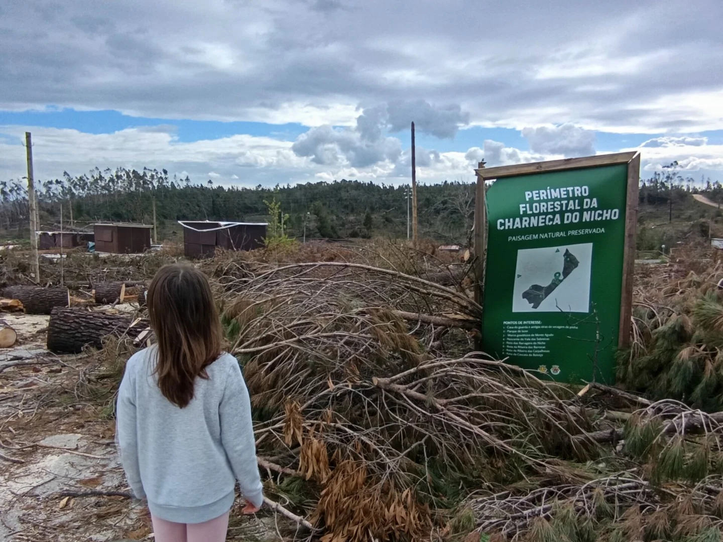 Locais de encontro, parques de merendas lutam para recuperar da tempestade