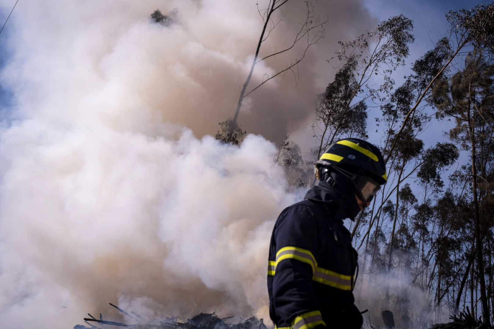 Limpeza de terrenos florestais obriga a “tarefa enorme” na região