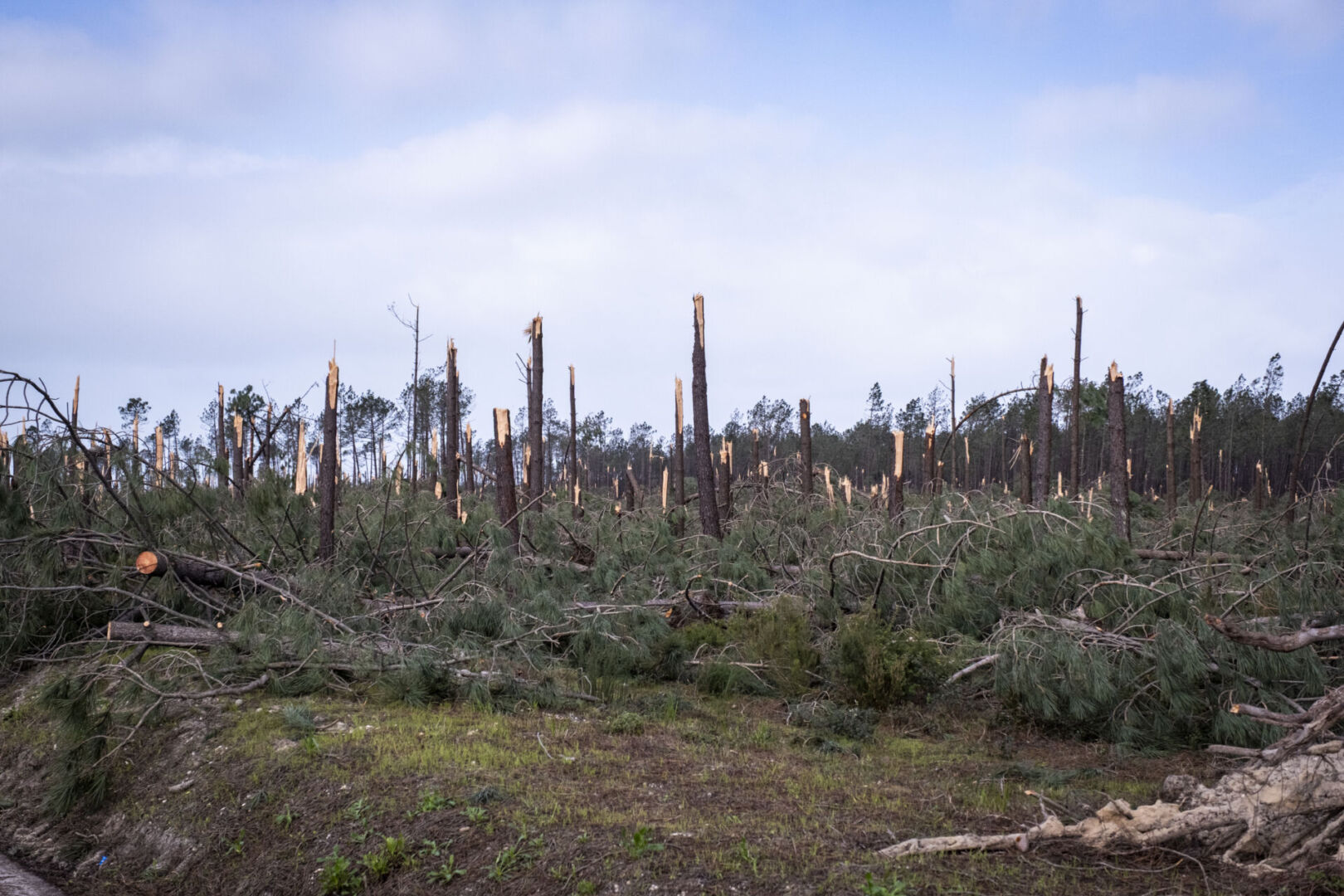 Duas dezenas de conferencistas analisam respostas e futuro pós-tempestade Kristin
