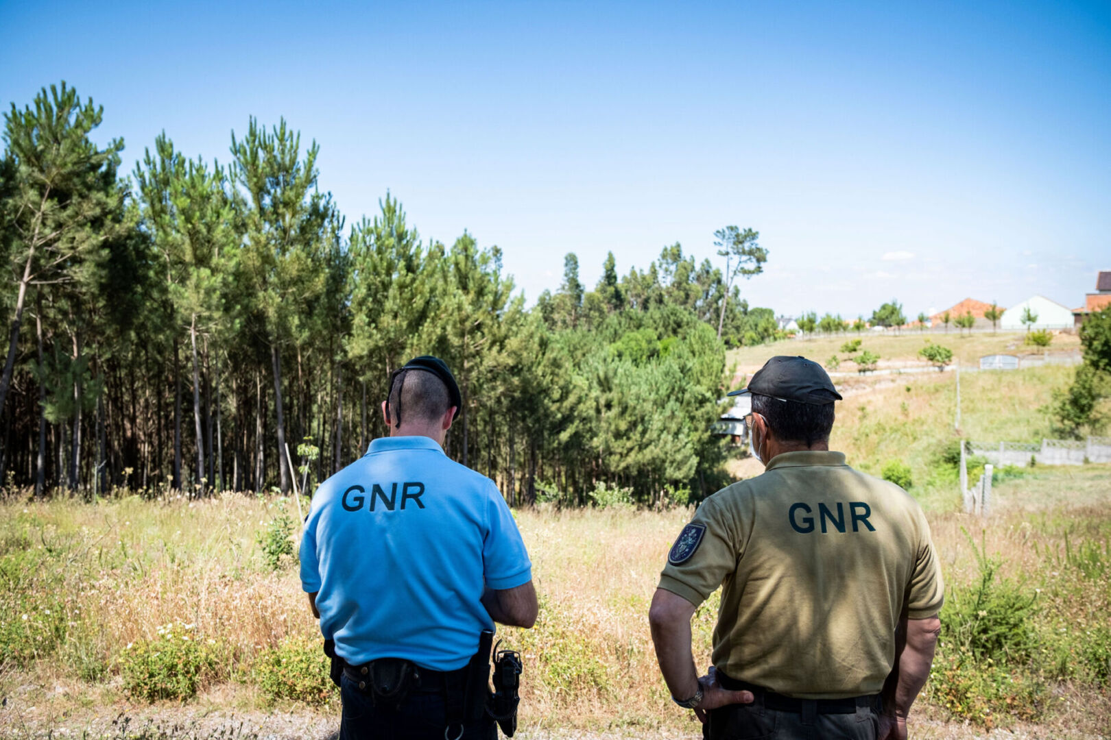 Municípios da região de Leiria sem queimas e queimadas a partir de segunda-feira