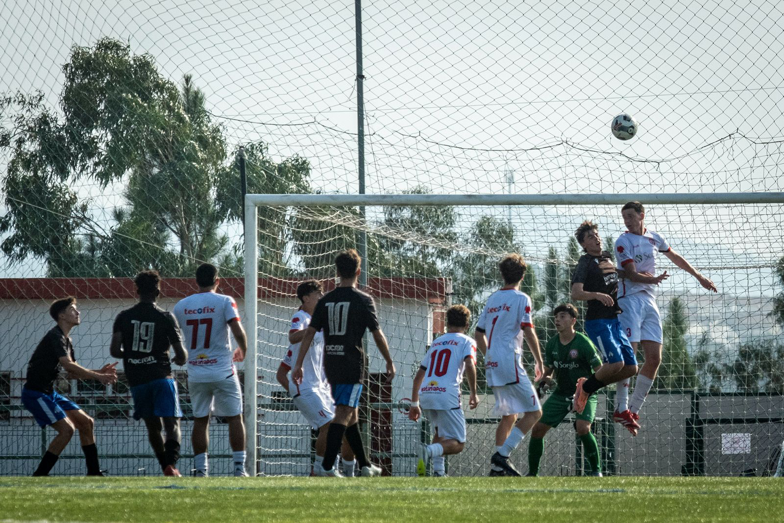 Clubes de Leiria recebem mais de 80 certificações