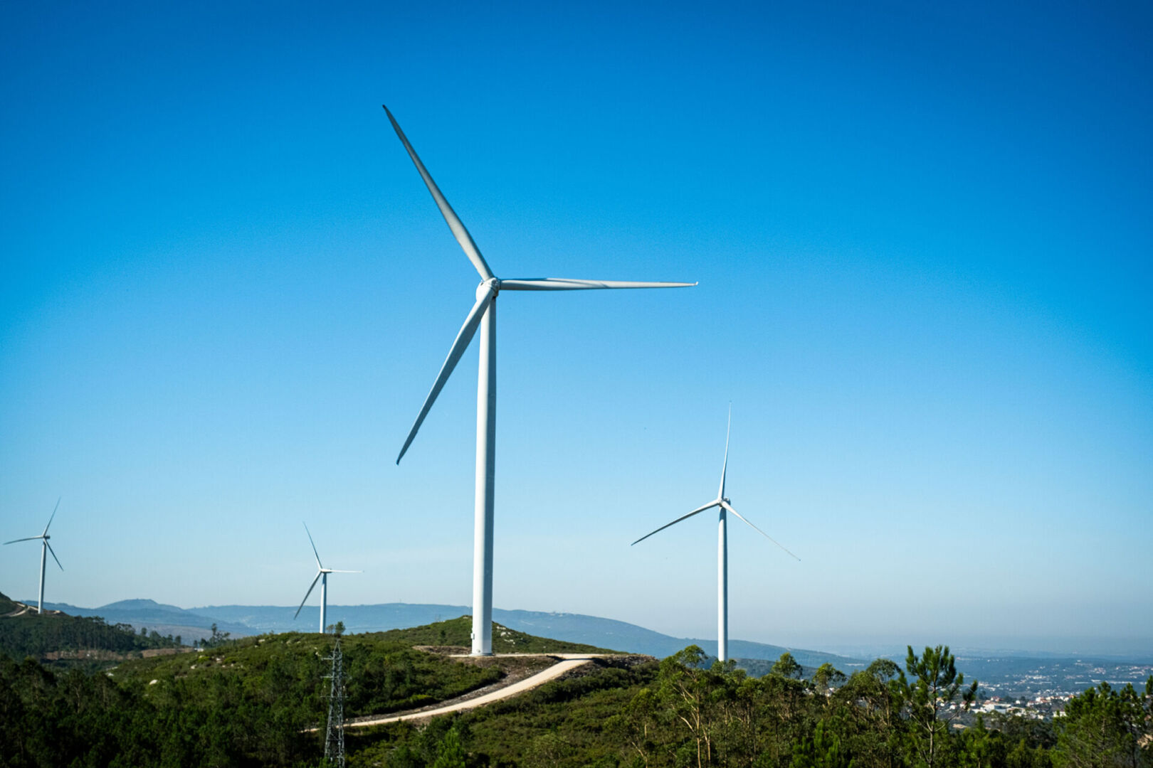 Distrito tem mais de 28 mil hectares para acelerar parques de energia renovável
