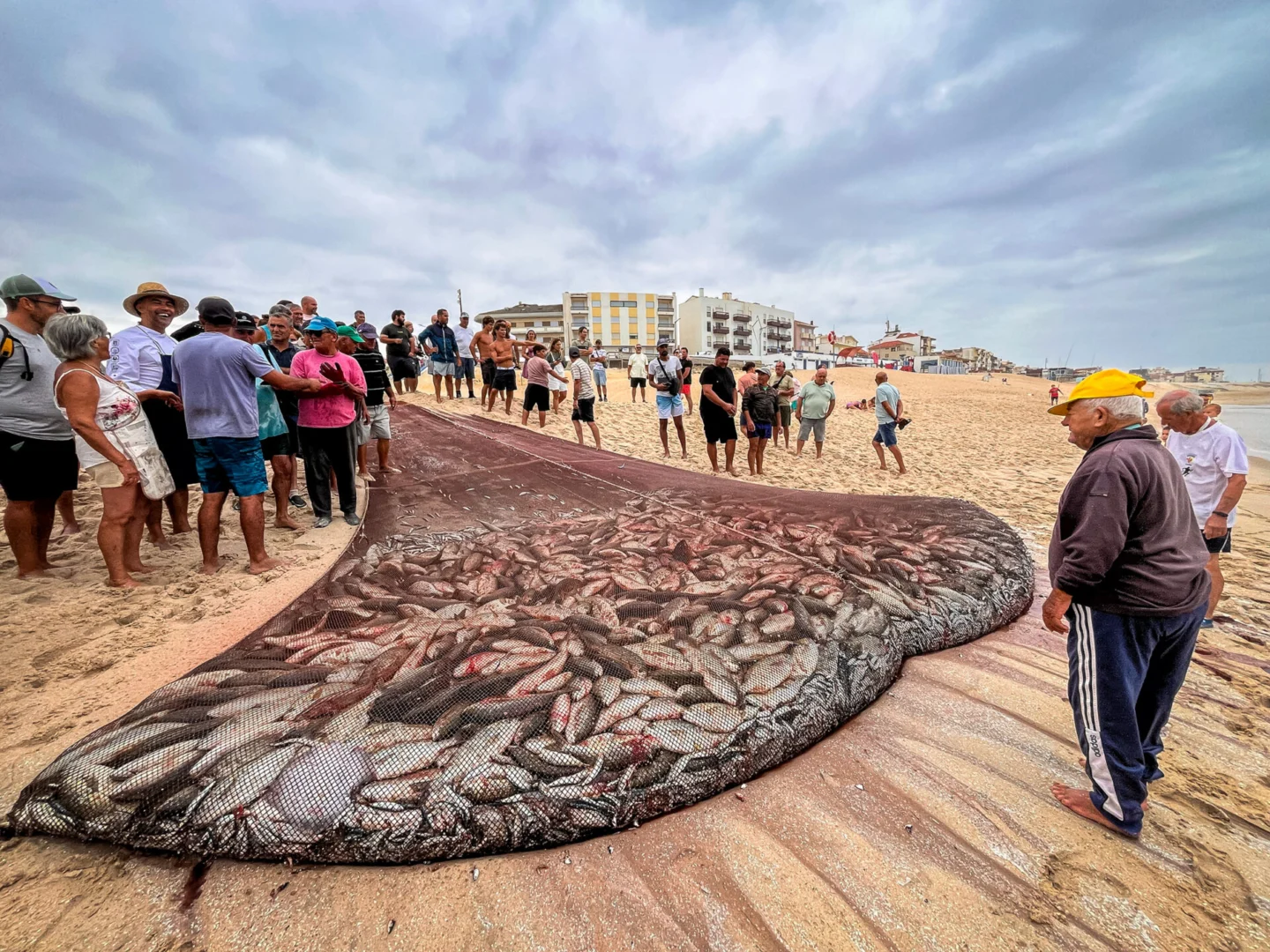 Alteração de planos de intervenção na Praia do Pedrógão em consulta pública