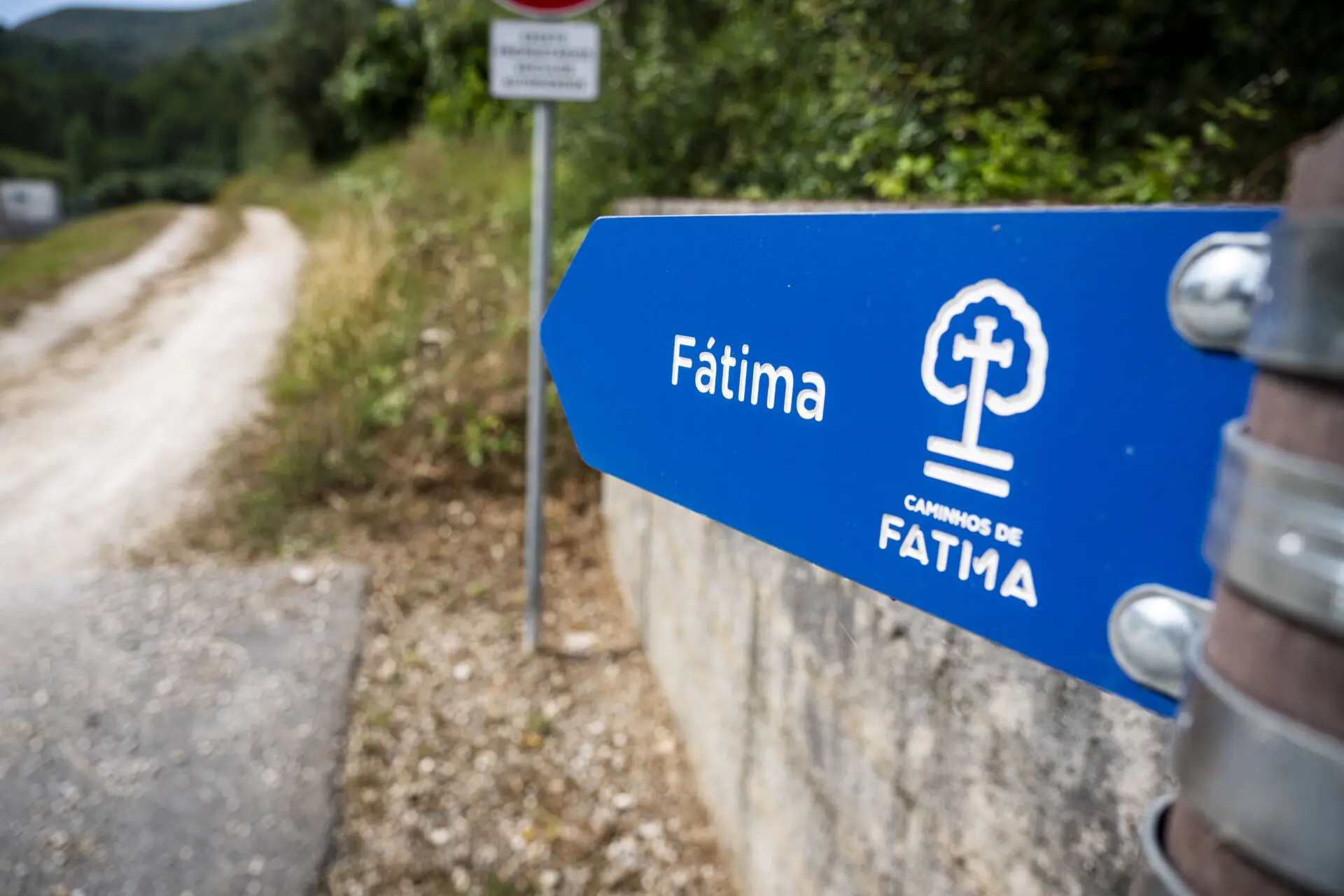 Uma placa azul dos Caminhos de Fátima aponta para um caminho de terra. A placa está junto a uma zona arborizada.