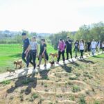 Um grupo de pessoas caminha com vários cães por um trilho num espaço verde. A imagem mostra uma caminhada ao ar livre, com árvores e relvado.