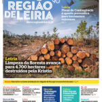 Capa do semanário Região de Leiria de 8 de outubro de 2026. A fotografia mostra troncos empilhados numa área florestal desbastada; a manchete refere a limpeza de 4.700 hectares destruídos pela tempestade Kristin. A capa destaca também um plano de contingência para fenómenos extremos em Leiria.