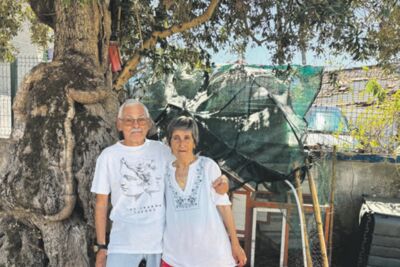 Escola do Vidigal: Um ensino virado para a comunidade
