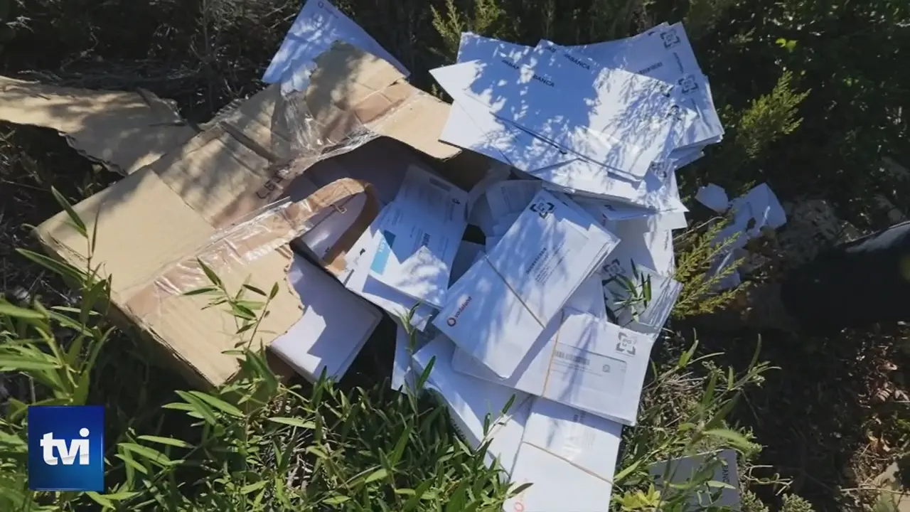 Uma caixa de cartão e vários envelopes e documentos estão espalhados entre a vegetação, ao ar livre. A imagem apresenta o logótipo da TVI.