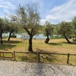 Zona arborizada junto a um plano de água, vista de um passeio em calçada. Um sinal indica que é proibido nadar e tomar banho.