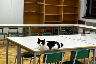 Micas passou para o 11.º ano… e continua na escola