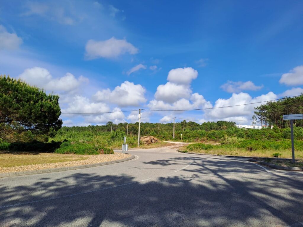 Estrada junto a uma área de pinhal e vegetação rasteira, com um caminho de terra ao fundo. O céu está azul, com nuvens dispersas; não se veem pessoas nem veículos.