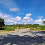 Estrada junto a uma área de pinhal e vegetação rasteira, com um caminho de terra ao fundo. O céu está azul, com nuvens dispersas; não se veem pessoas nem veículos.