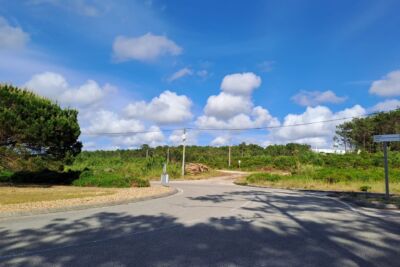 Estrada junto a uma área de pinhal e vegetação rasteira, com um caminho de terra ao fundo. O céu está azul, com nuvens dispersas; não se veem pessoas nem veículos.