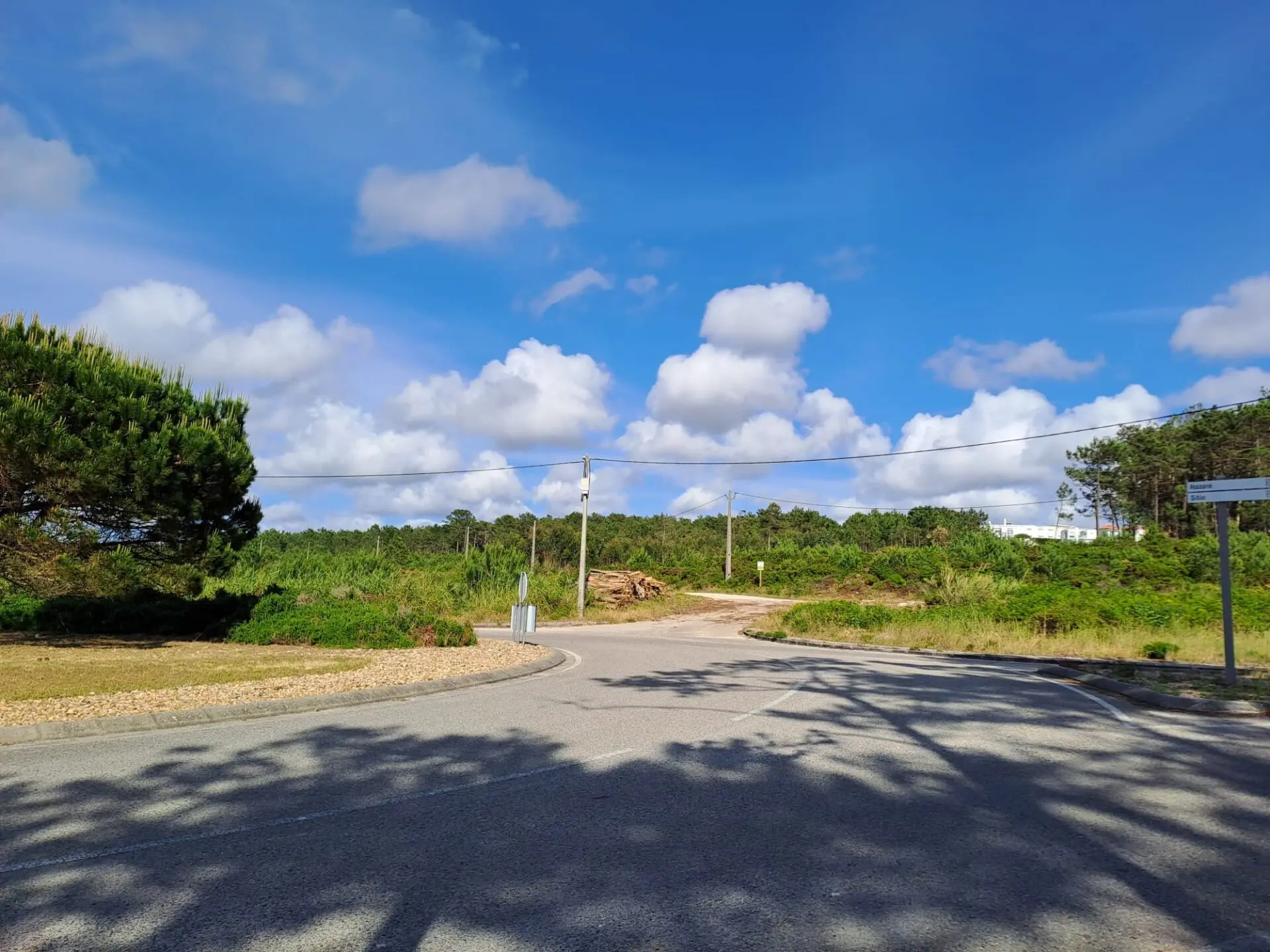 Estrada junto a uma área de pinhal e vegetação rasteira, com um caminho de terra ao fundo. O céu está azul, com nuvens dispersas; não se veem pessoas nem veículos.