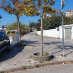 Rua residencial com um automóvel estacionado, árvores no passeio e contentores de reciclagem. Ao fundo, vêem-se edifícios e sinais de trânsito. Não há pessoas visíveis.